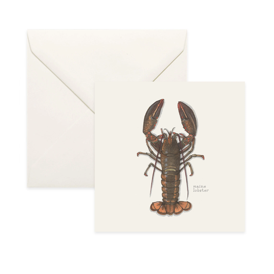 Lobsters Maine/Lobster Notecard Thank You Card Message Nature Illustration Crustacean Shellfish Seafood Culinary