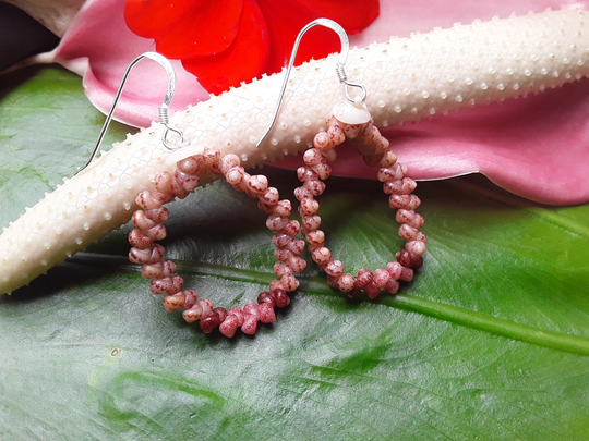 Shell Hoop Earrings Kauai Beach Rare Shells Kahalelani Kahelelani Jewelry