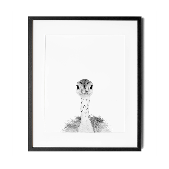 Black & White Ostrich Print, Baby Nursery Decor, White, Modern Nursery, Shower Gift