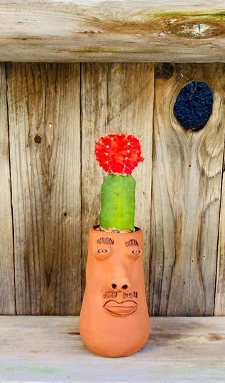 Cara De Planta Handcrafted Terracotta Pot Unique Handmade Clay Pots