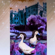 Song of the Phoenix: Amy Lemco Author