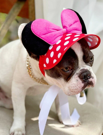 Mini Mouse Hat For Dog /Dog Costume /Halloween Costume/