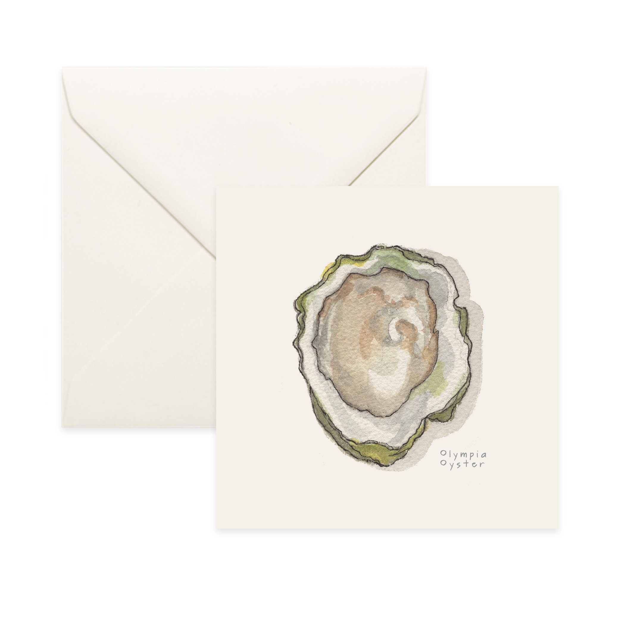 Oysters Olympia/Notecard Thank You Card Message Birthday Nature Illustration Oyster Shell Seafood