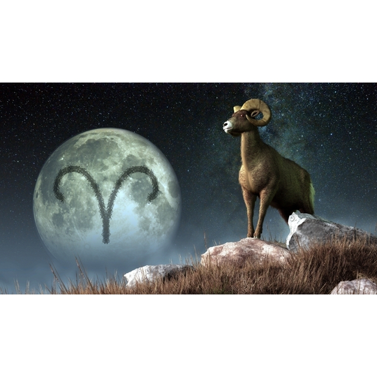 Aries is the first astrological sign of the Zodiac. Its symbol is the ram Poster Print - Item # VARPSTDEK200002S - 18 X 10