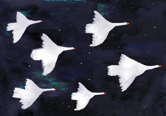 Flying Goose, Starry Night Sky Print