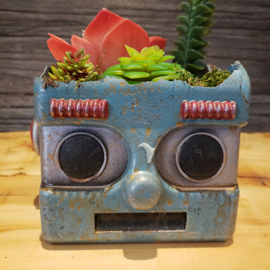 Blue Rusted Robot Head Planter Succulents Air Plants Terrarium Kids Room Decor Gift