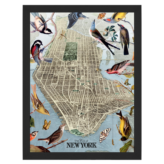 Wilds Of New York City Map Art, Vintage Map, Botanical Birds, Nyc, Fine Art Print