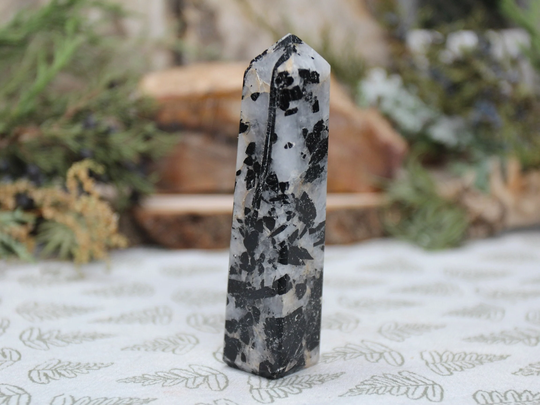 Black Tourmaline in Quartz Crystal Tower, Schorl, All Polish Obelisk Point, 3.1 Oz From Brazil