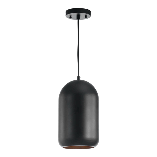 Black Metal Dome Carisir Pendant Lamp by World Market