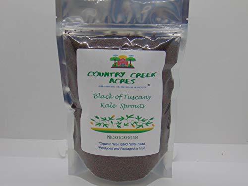 3 oz Kale-Black of Tuscany Seeds for Microgreens