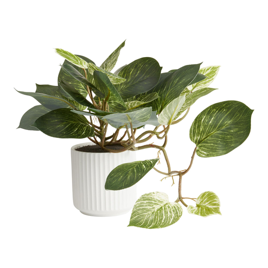 Faux Pothos Plant in White Ceramic Pot: Green - Plastic by World Market