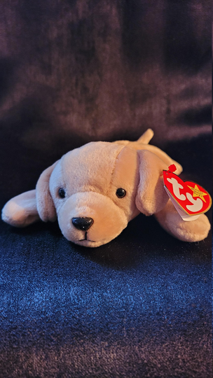 Beanie Baby, Stuffed Animal, Plush, Pet, Ty, Puppy, Plush