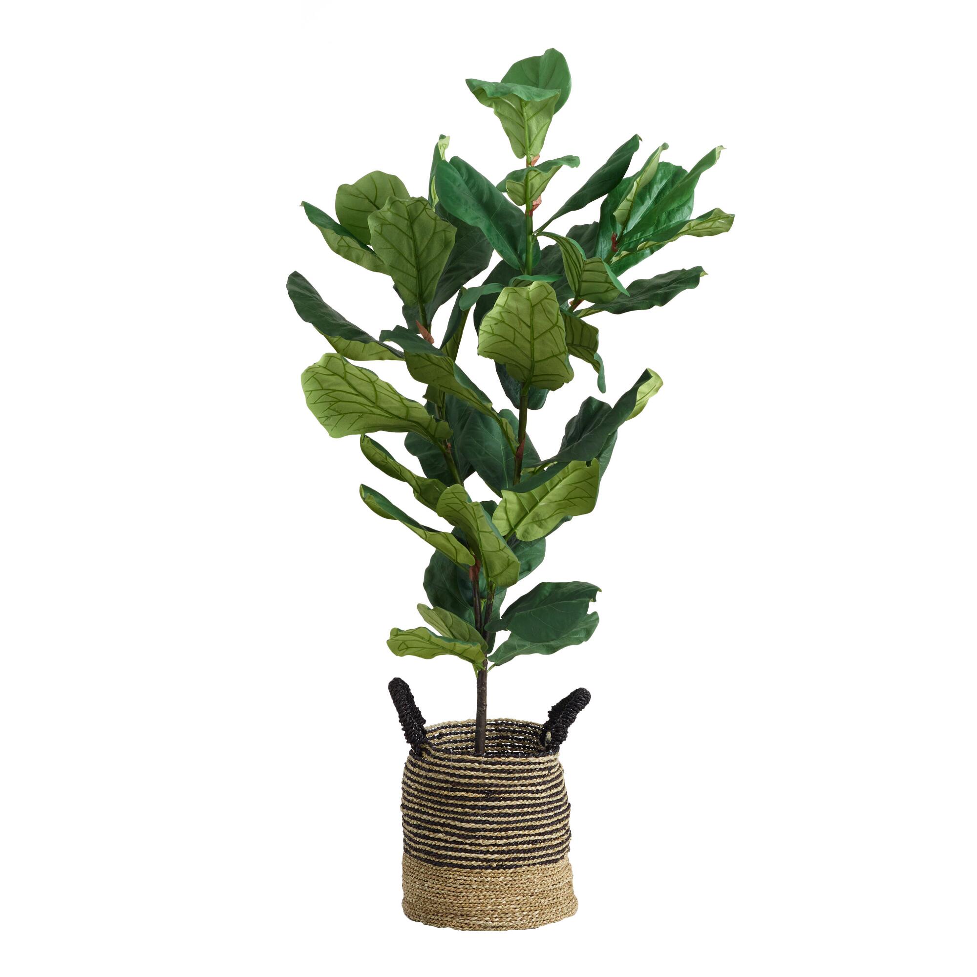 Faux Fiddle-Leaf Fig Plant: Green by World Market