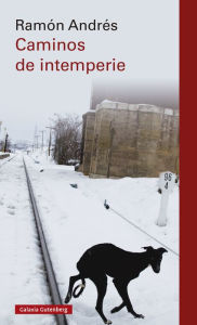 Caminos de intemperie Ramón Andrés Author