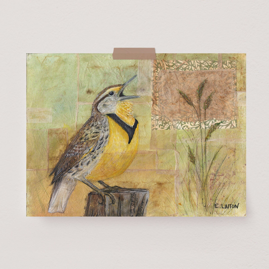 Western Meadowlark Painting | Songbird Art Print Wildlife Artwork Animal Bird Illustration Wall Tea Bag Collage