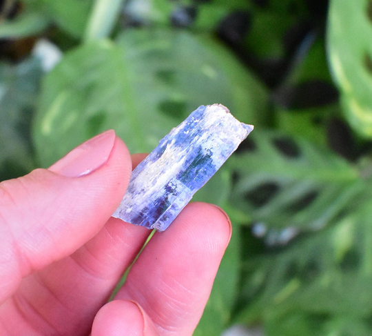 x-Small Semi Translucent Blue Kyanite Crystal. Raw/ Rough Beautiful Brazilian