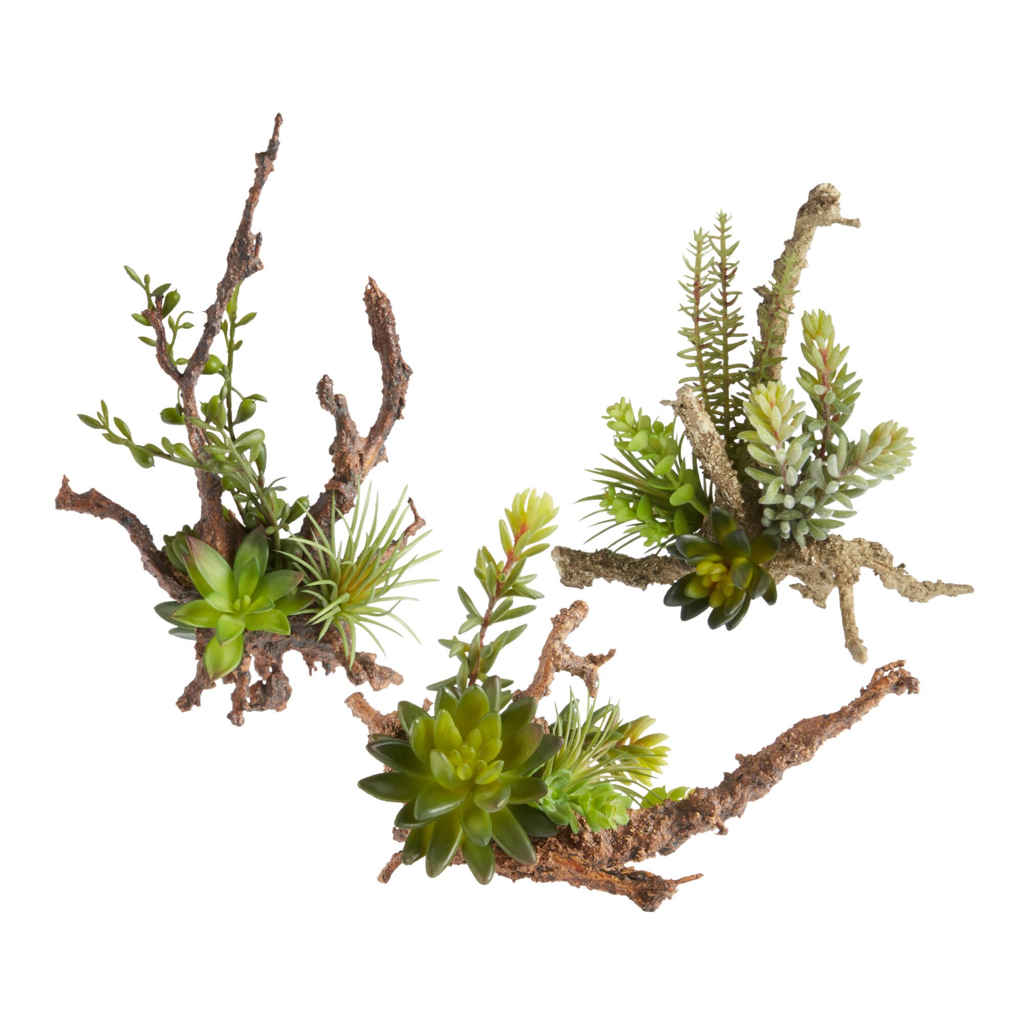 Faux Succulents on Twigs Set of 3: Multi - Plastic - Small by World Market