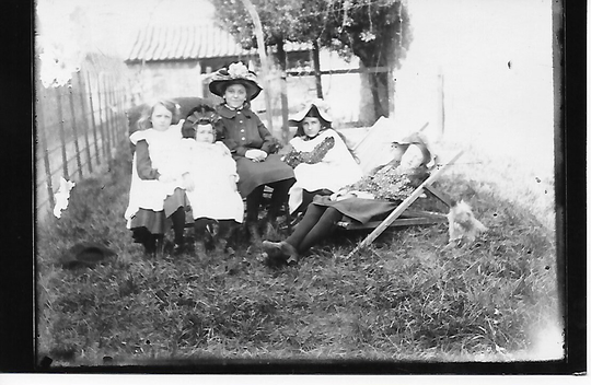 Reprint Photo, Taken From Glass Negative, Edwardian Children, Deckchairs, Garden, Hat, Stockings, Dog Lying Down, Fashion, Social History