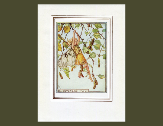 Silver Birch Flower Fairy 1950's Vintage Print Cicely Barker Trees Book Plate T054