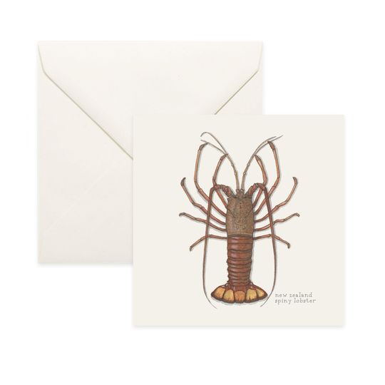 Lobsters New Zealand/Spiny Notecard Thank You Card Message Nature Illustration Crustacean Shellfish Seafood Culinary