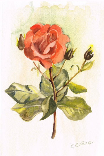 Vintage Original 1980S Watercolour Painting Of A Rose Flower, Naive