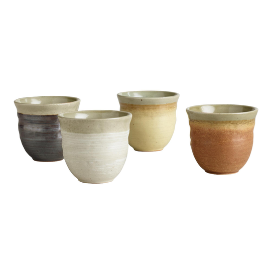 Fuji Rimmed Teacup Set Of 4: Multi - Stoneware by World Market