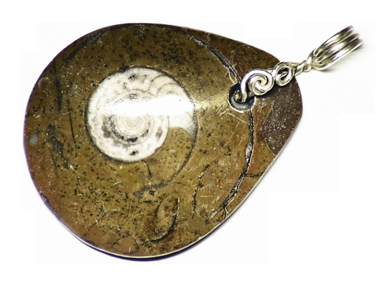 Ammonite Fossil Necklace, Real in Matrix Pendant, Sterling Silver Wire Wrap, Jewelry, Man Necklace Wrap