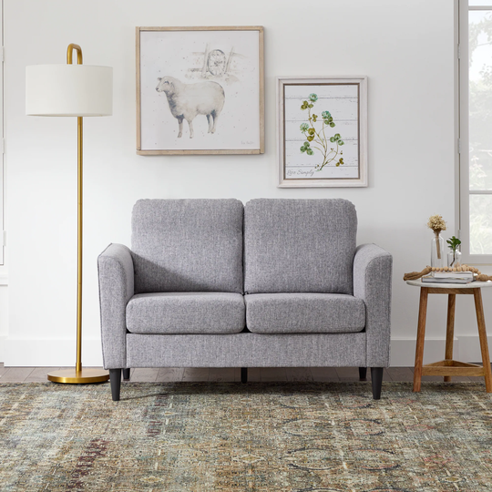 Brookside Clara Modern Gray Polyester/Blend Loveseat | BS0009LVS00GR