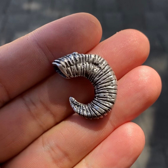 Ram Horn Casting