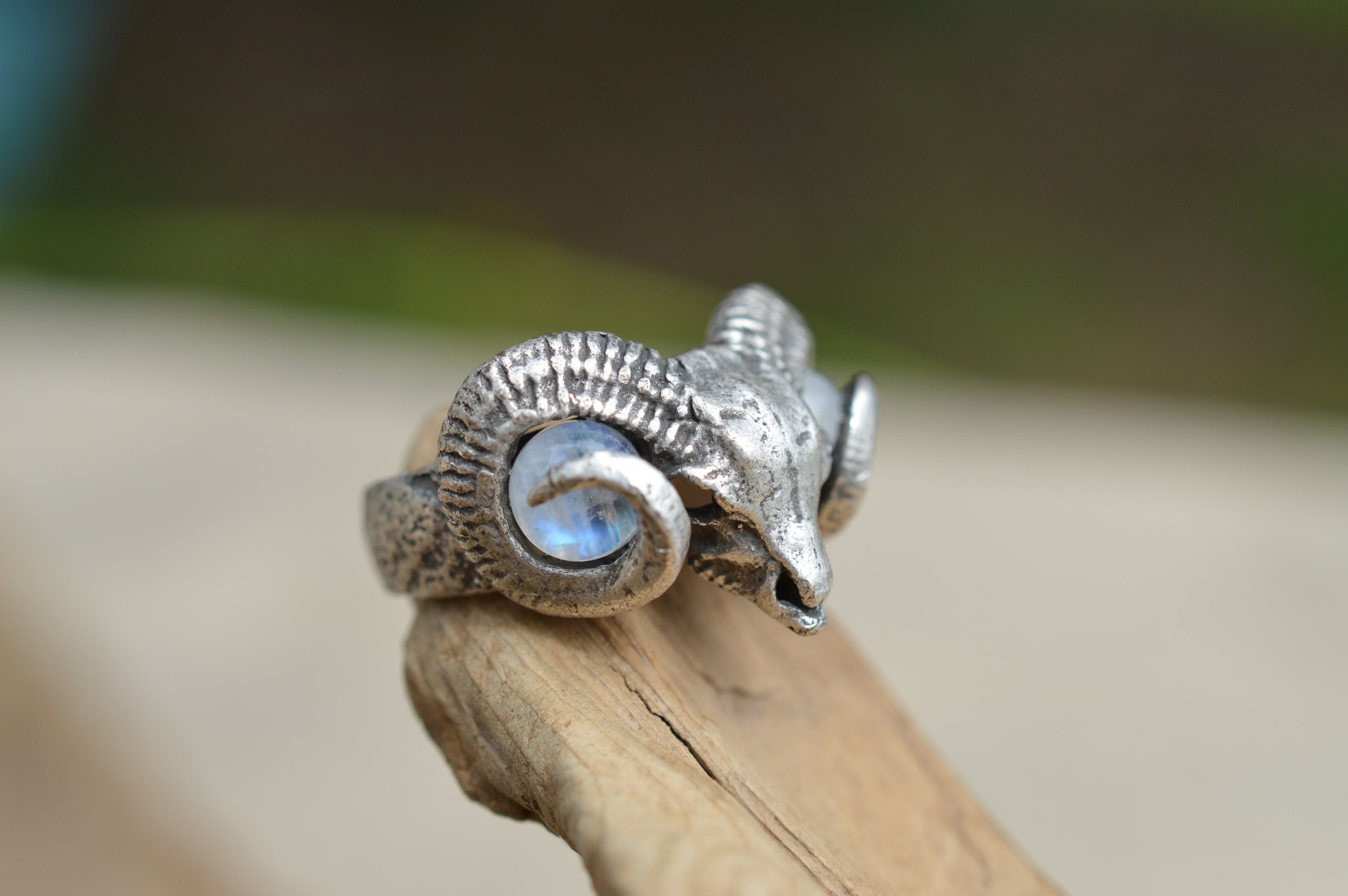 Ram Skull Adjustable Ring - Rainbow Moonstone