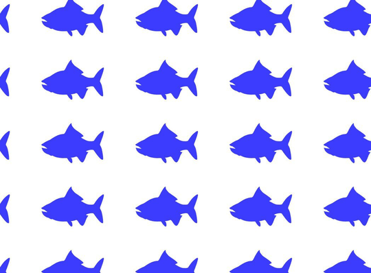 Fish Icon - Stickers Wedding Meal Icons Menu Planner Seafood