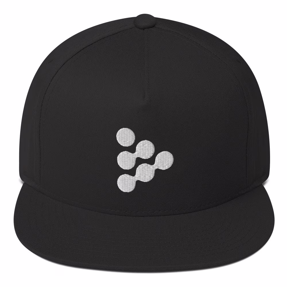Iexec Rlc Hat, Embroidered Flat Bill Snapback Cap, Crypto Gift