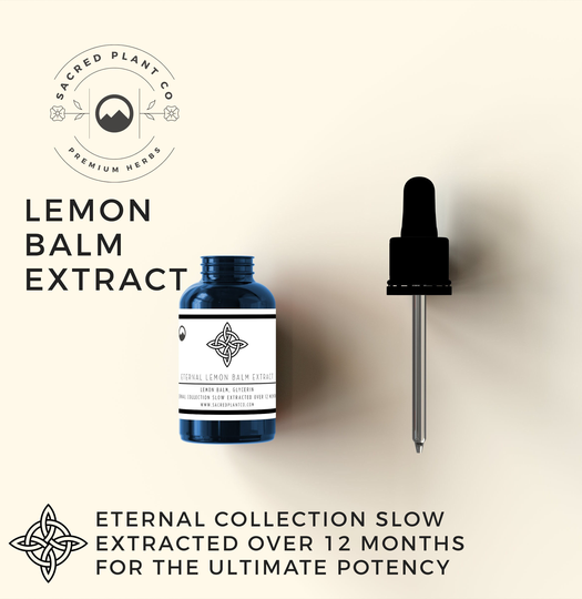 Lemon Balm Herbal Tincture | Leaf Extract Sweet Melissa