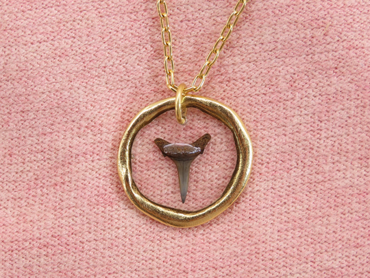 Gold Shark Tooth Necklace, Ocean Lover Gifts, Beach Gifts