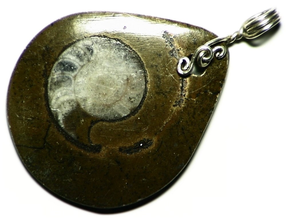 Real Fossil Necklace, Wire Wrapped Ammonite Pendant, Snail Shell Genuine Jewelry, Teardrop Nerdy Gem