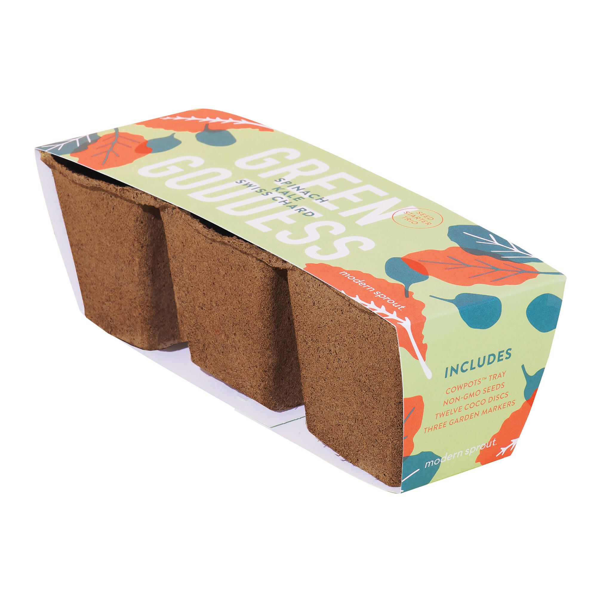 Modern Sprout Green Goddess Seed Starter Trio: Multi by World Market