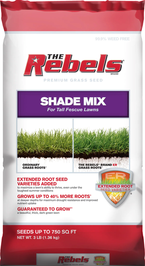 Pennington Premium 3-lb Mixture/Blend Grass Seed | 147868