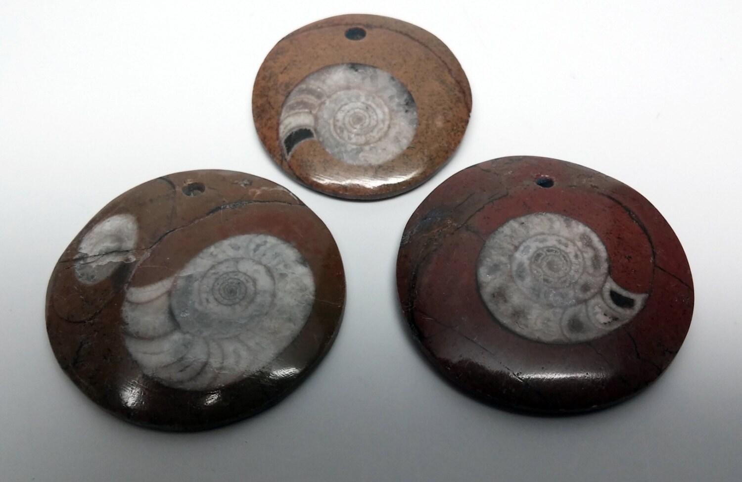 Ammonite Fossil Pendant