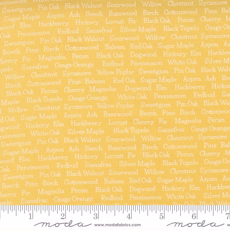 Cozy Up Collection - Text in Sunshine Yellow By Corey Yoder Little Miss Shabby For Moda Blender 100% Cotton 29124-24