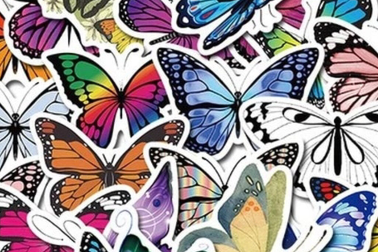 Butterfly Decals 50 Vibrant & Beautiful Butterflies, Choose 25 Or Decals, The Beauty Of Nature & They Make A Darn Good Gift