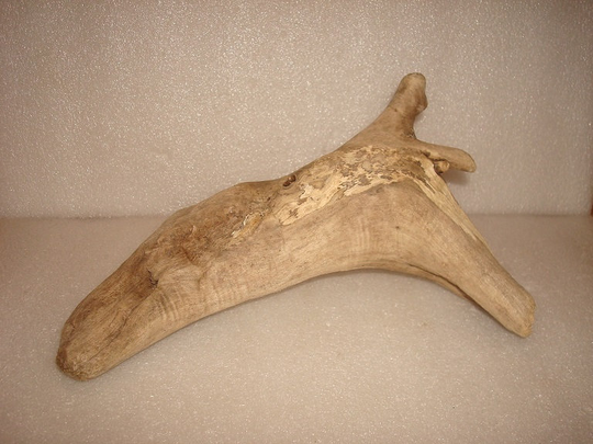 Unique Natural Freshwater Driftwood Piece Reptile/Terrarium Aquarium 10" Long