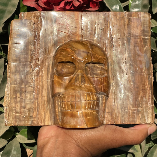 Petrified Wood Slab Skull, Wood, Ancient Knowledge, Yule Decoration, Natural Fossilized