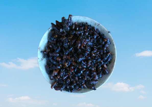 Thiouraye Saloum Blend - 25G