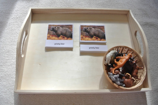 Montessori North America Wildlife 3 Parts Cards