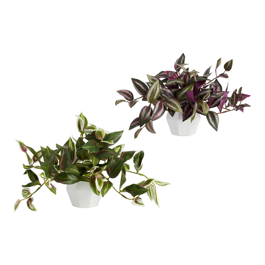 Faux Tradescantia Zebrina Plants In Ceramic Pots Set Of 2: Multi - Plastic - Small by World Market