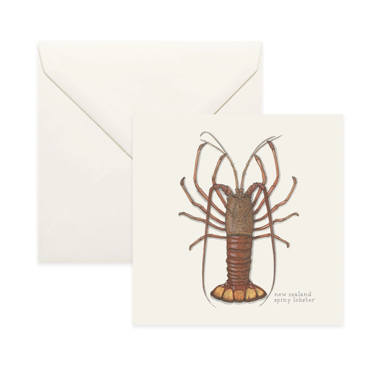 Lobsters New Zealand/Spiny Notecard Thank You Card Message Nature Illustration Crustacean Shellfish Seafood Culinary
