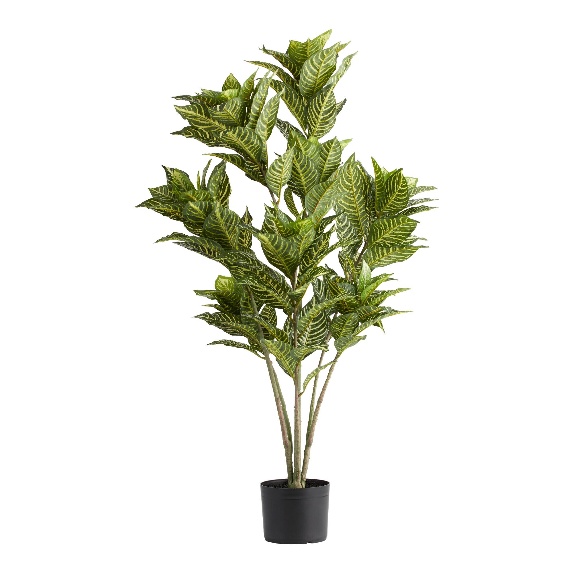 Faux Zebra Plant: Green/Yellow - Plastic by World Market