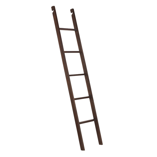 Roasted Cocoa Wood Augustus Bookshelf Ladder: Brown by World Market