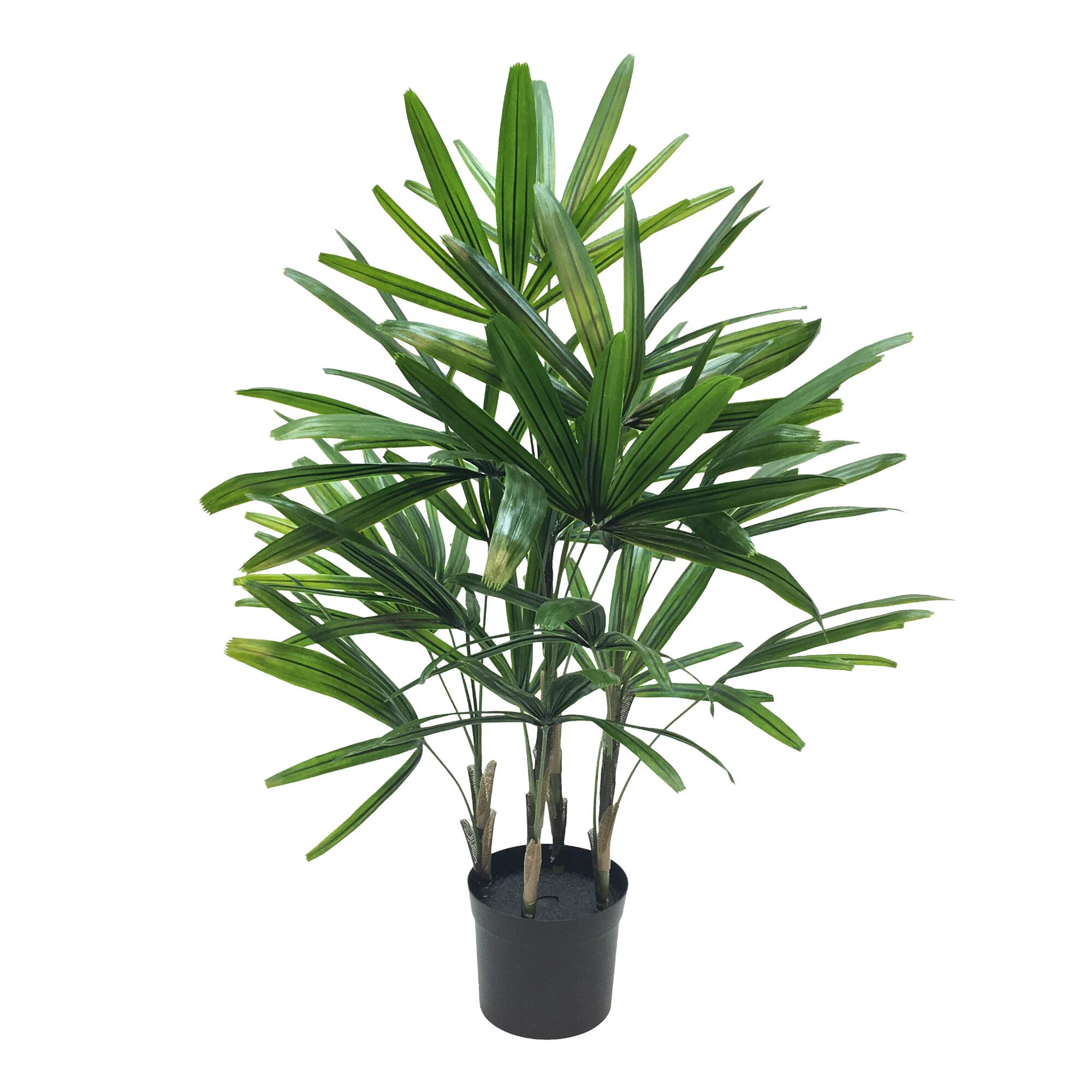 Faux Rhapis Palm Tree: Green by World Market
