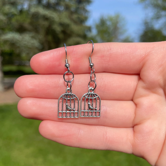 Birdcage Earrings | Novelty Unique Pretty
